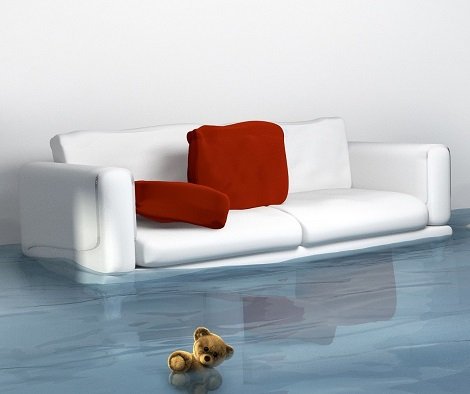 Carpet Water Damage