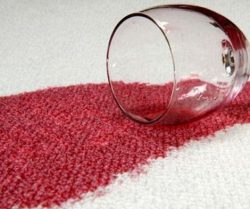 CCAWA Stain 1 – Copy Stain Treatment